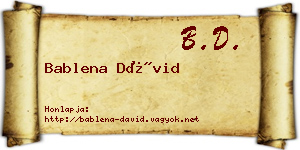 Bablena Dávid névjegykártya